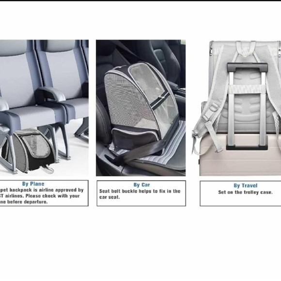 Portable Grey Pet Carrier Backpack with Mesh Ventilation - Picture 4 of 5